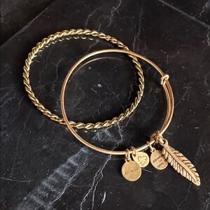 ALEX and ANI Feather (+) Energy Charm Bracelet and Rope Gold-Tone Bangle